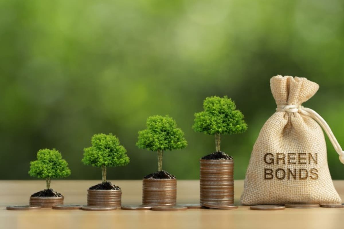 Investing in 2026: Profit Meets Purpose