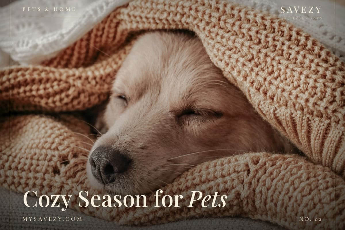 Cozy Pet Essentials for Fall 2026
